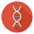 Yr10 Biotechnology.png